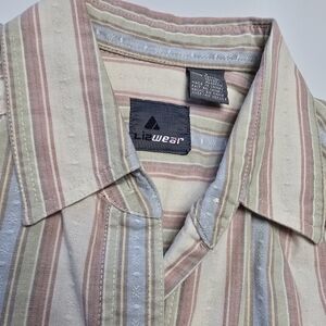 Western Lizwear Long Sleeve Small Striped Shirt - Multicolor